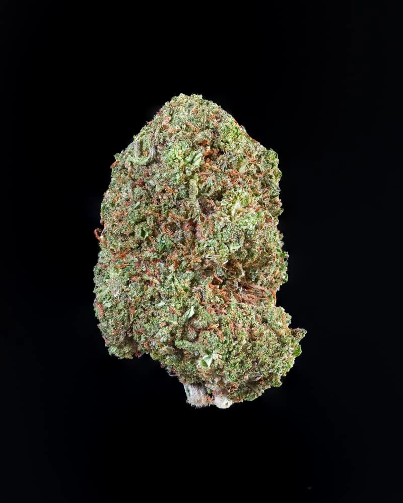 melon.gum 1