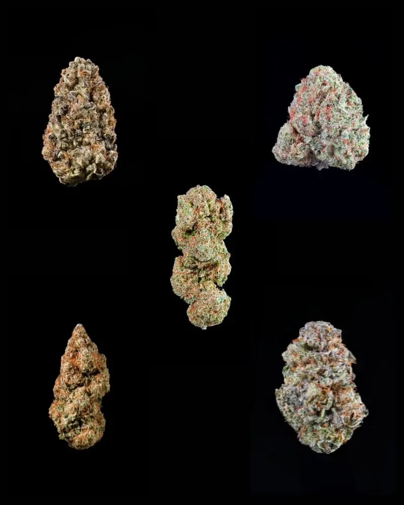 Pack degustación CBD Flores Indoor 10g | Relax House CBD