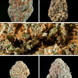 Pack Degustación Flores Indoor 10g 39,99€