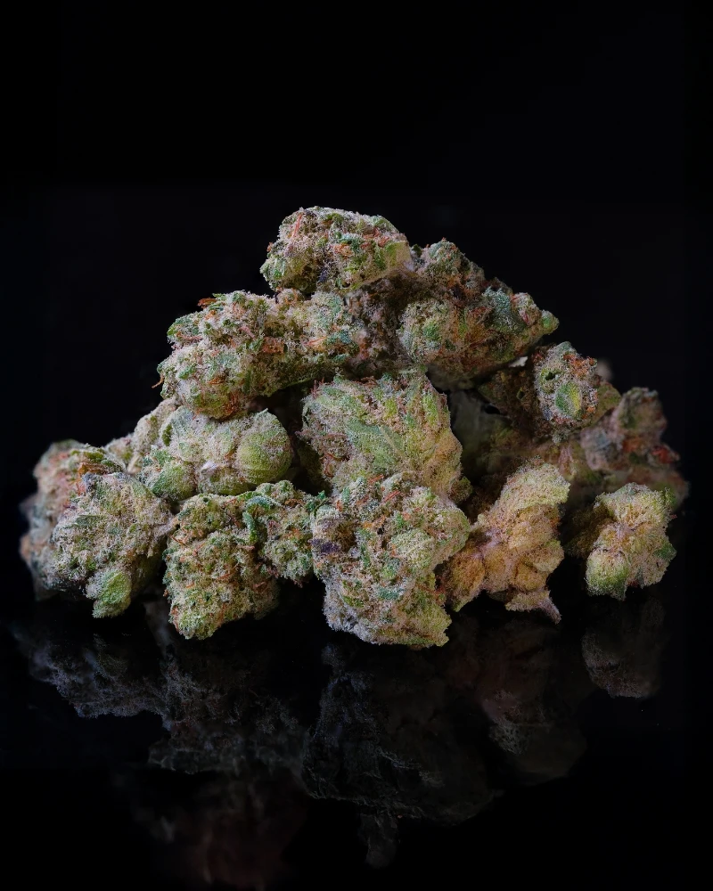 Minibuds Raspberry muffin 1 Minibuds Raspberry muffin