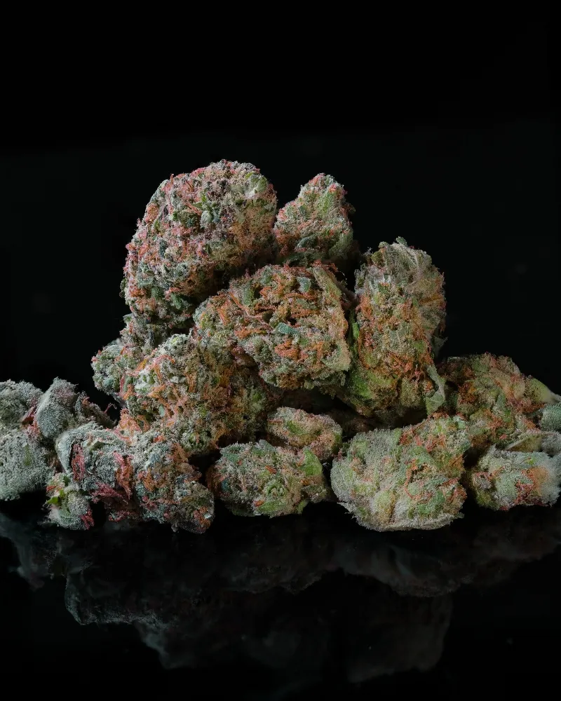 Minibuds Hawaizz 1 Minibuds Hawaizz