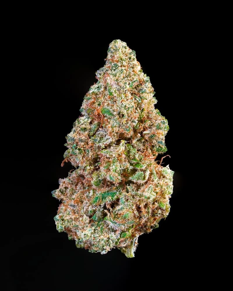 BCN.diesel 1 1