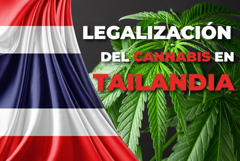 Tailandia Cannabis Legalizacion