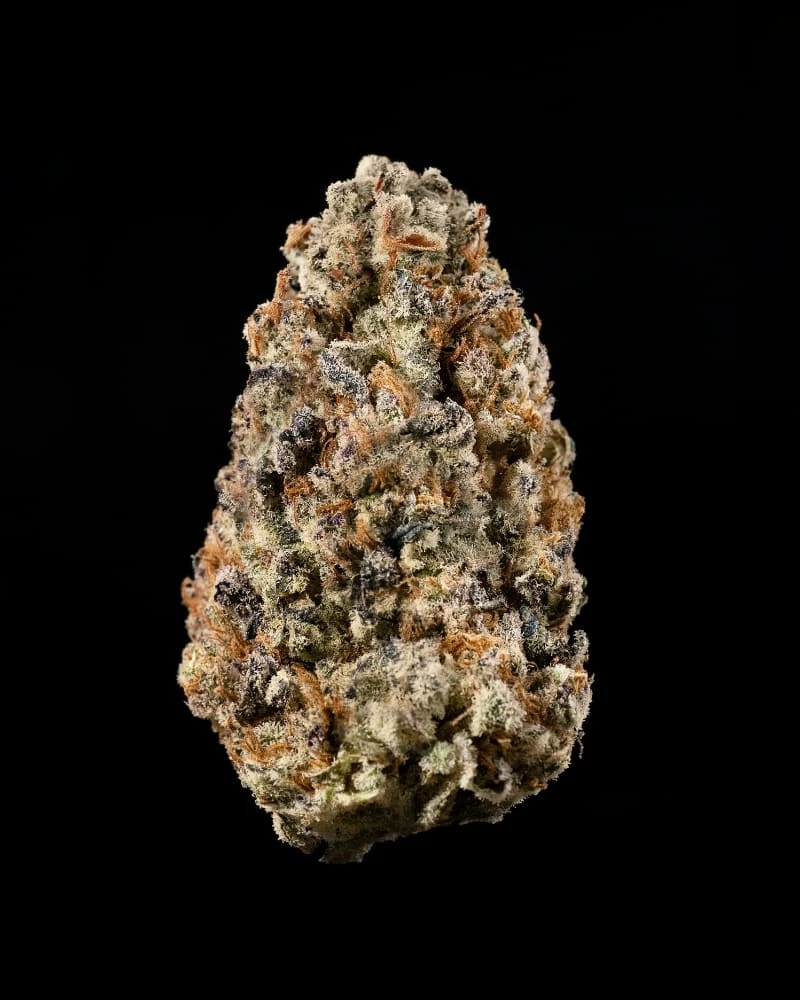 amnesia.hypro