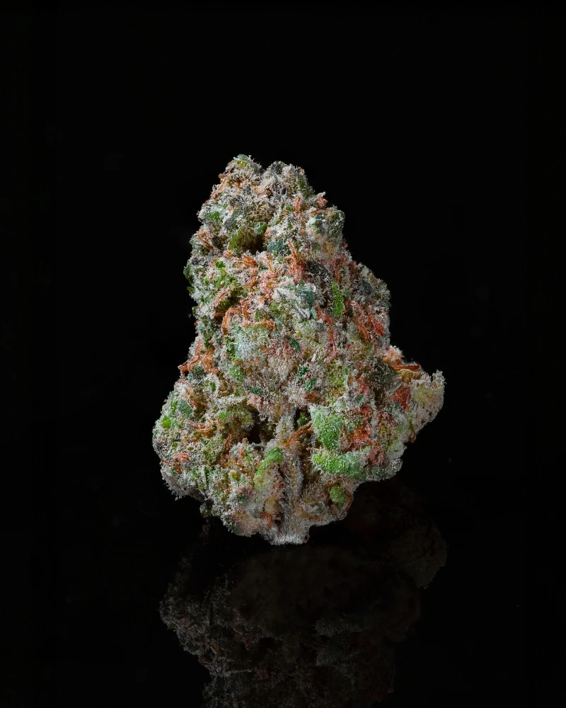 mini flor mellow 1