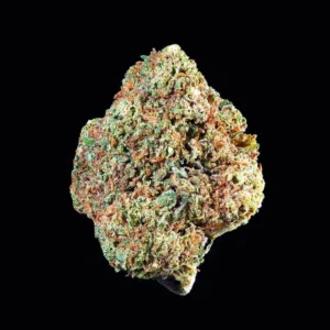 Mini flor cbd Sweet Berry GH
