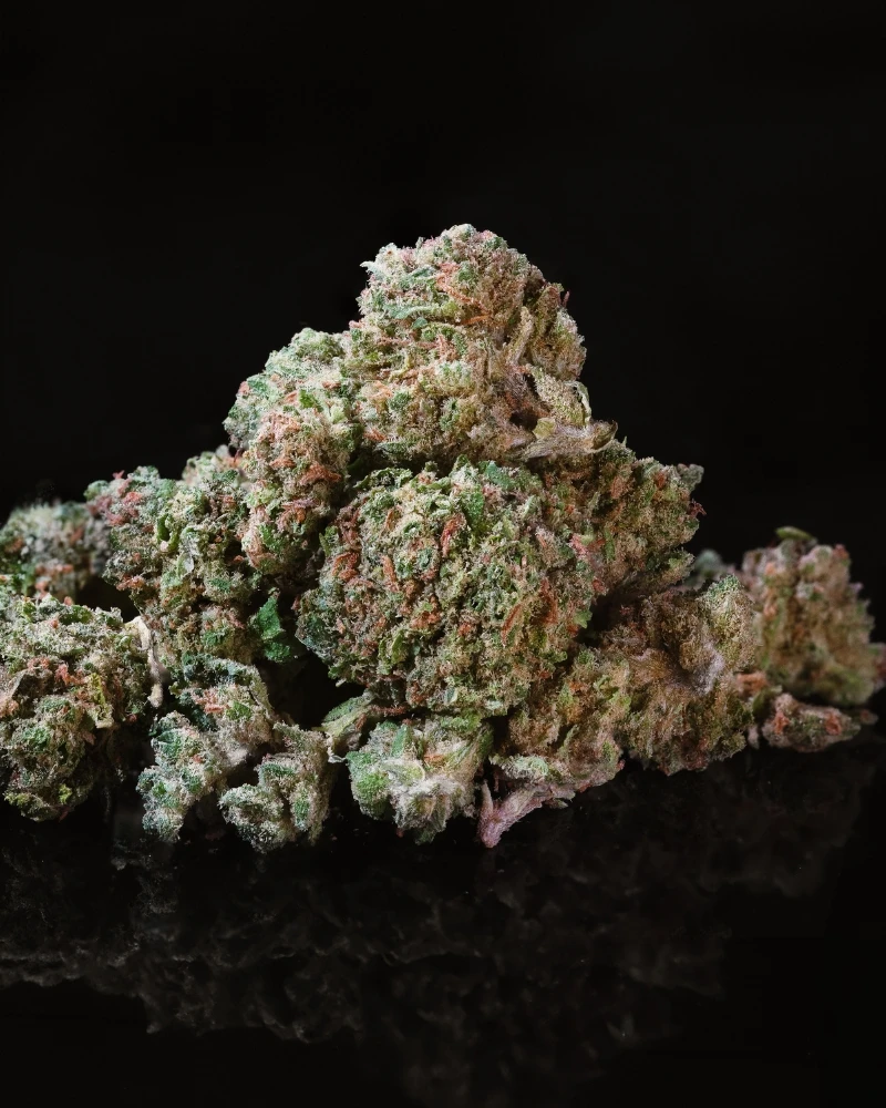 watermelon gh