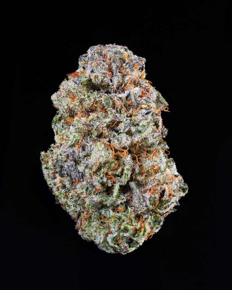 purple.gelatto