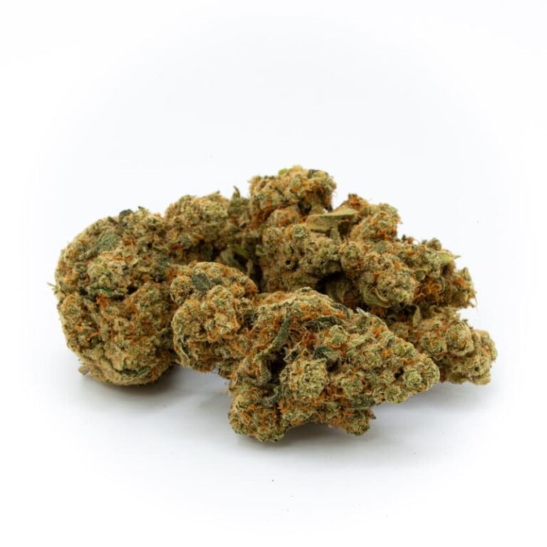 CBD Amnesia Hypro 1