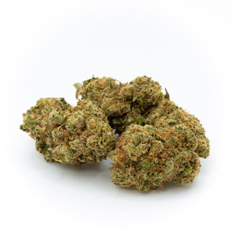 Cogollo de CBD Northern lights 1