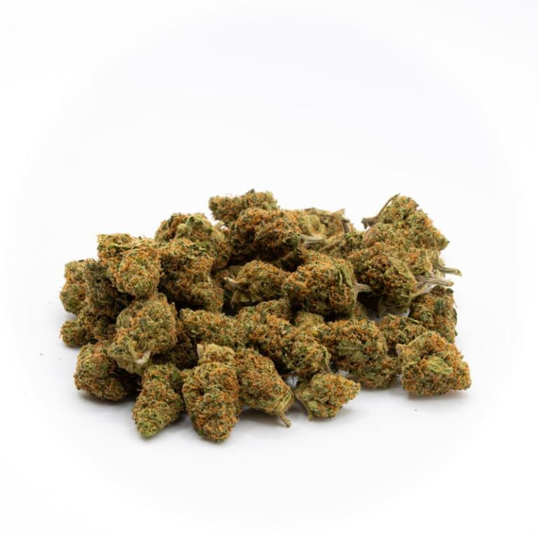 Minibuds California Orange