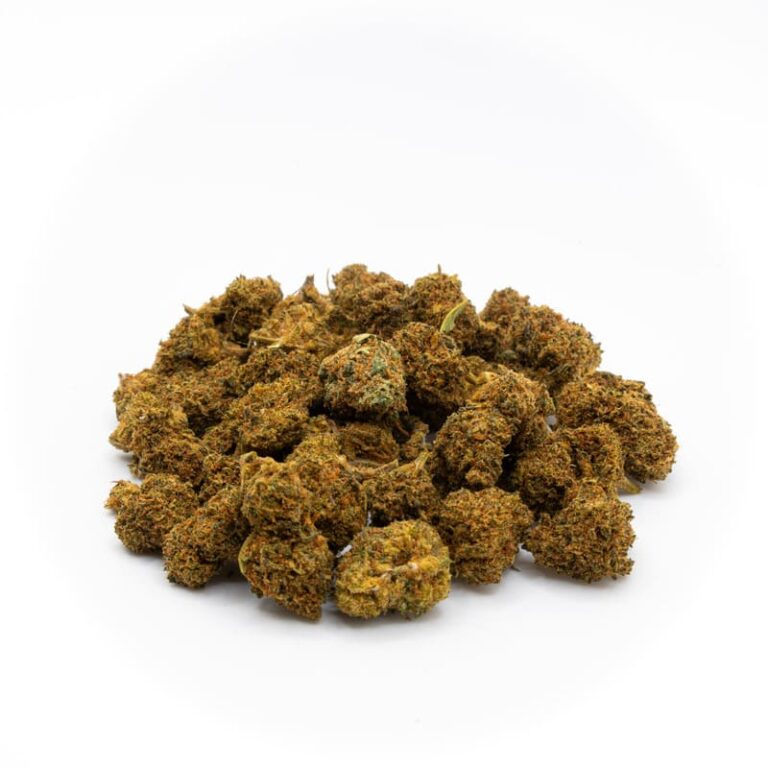 Minibuds diesel cali