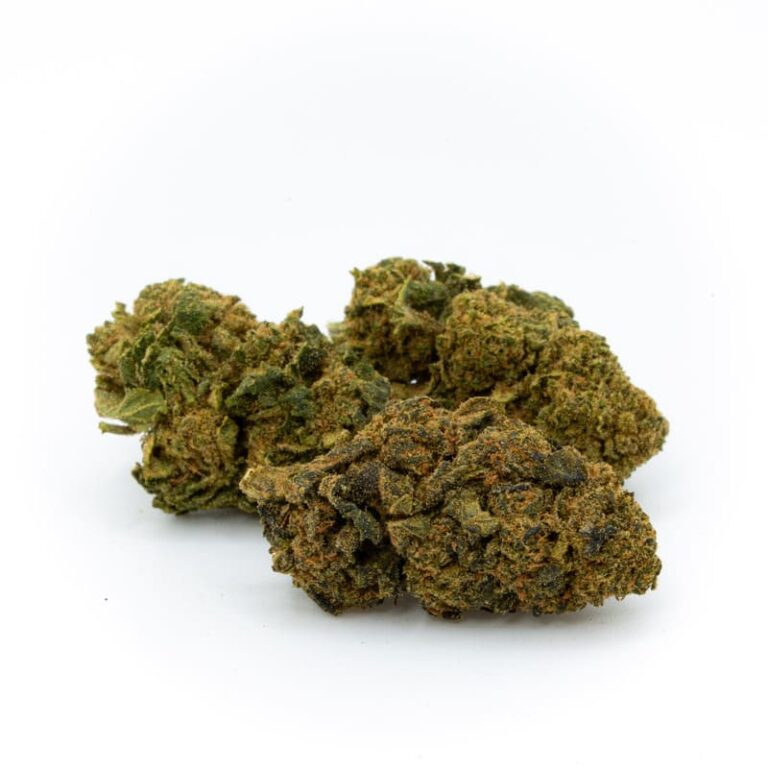 Cogollo de CBD Green Queen greenhouse