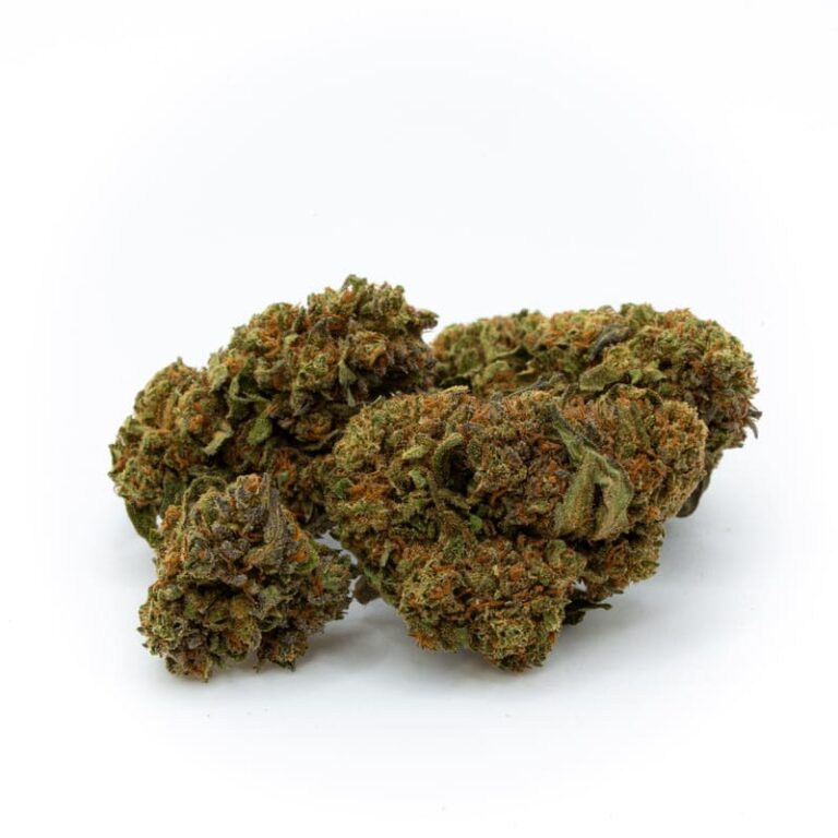 Cogollo de CBD Juisy Cash greenhouse | Relax House CBD