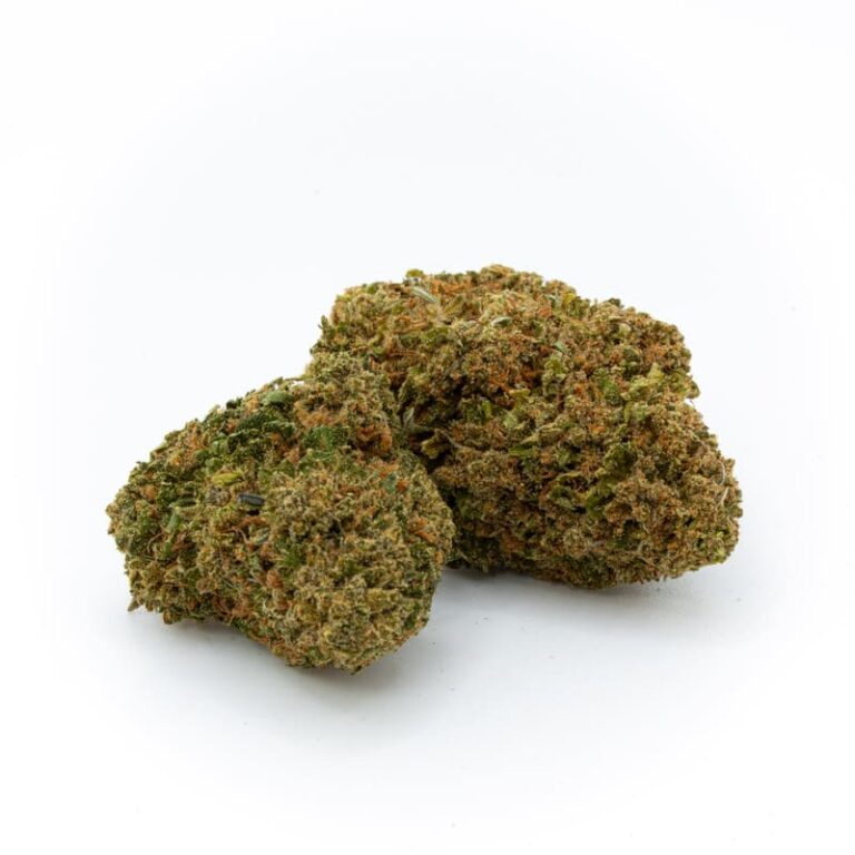 Cogollo de CBD Kritical 47 greenhouse | Relax House CBD